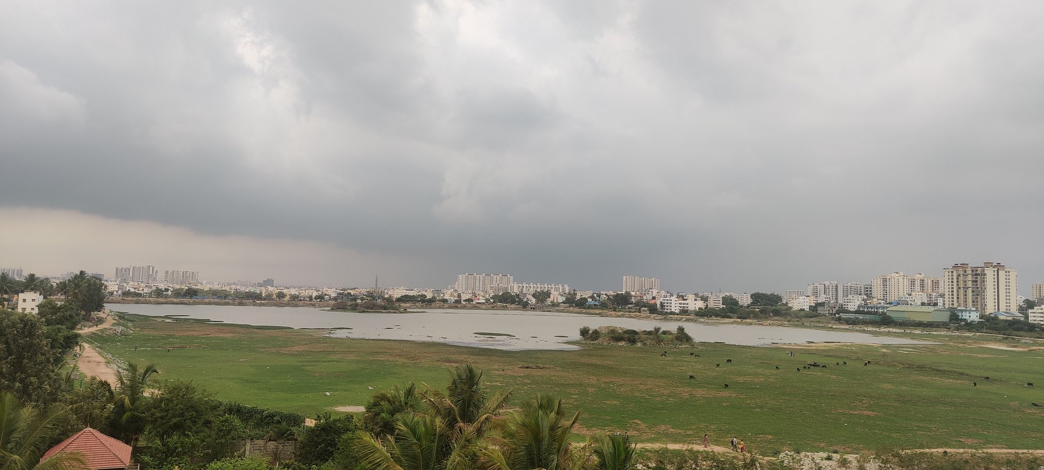 https://salarnews.in/public/uploads/images/newsimages/maannewsimage21052024_215229_Begur Lake picture from twitter Avinash Sharma.jpeg